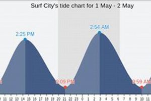 Surf City Tides: Your Guide to Surf City Tide Charts & Waves Learn to Surf & Skate: A Beginner's Step-by-Step Guide Surf City Tides: Your Guide to Surf City Tide Charts & Waves | Learn to Surf & Skate: A Beginner's Step-by-Step Guide