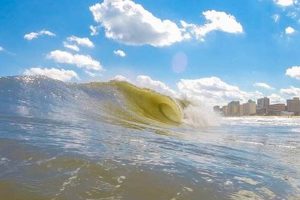 Your Guide: Surf and Adventure Virginia Beach + More! Learn to Surf & Skate: A Beginner's Step-by-Step Guide Your Guide: Surf and Adventure Virginia Beach + More! | Learn to Surf & Skate: A Beginner's Step-by-Step Guide