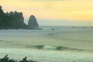 Your La Push Surf Report: [Conditions] & More | Learn to Surf & Skate: A Beginner's Step-by-Step Guide