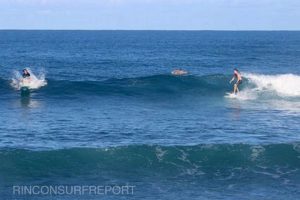 Puerto Rico Surf Report PR: Today's Surf Conditions! Learn to Surf & Skate: A Beginner's Step-by-Step Guide Puerto Rico Surf Report PR: Today's Surf Conditions! | Learn to Surf & Skate: A Beginner's Step-by-Step Guide