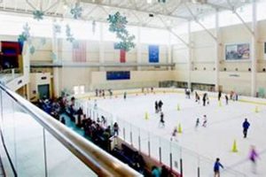 Glide & Shop: Ice Skate Memorial City Mall Fun! Learn to Surf & Skate: A Beginner's Step-by-Step Guide Glide & Shop: Ice Skate Memorial City Mall Fun! | Learn to Surf & Skate: A Beginner's Step-by-Step Guide