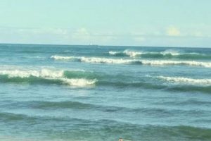 Your White Plains Surf Report: Beaches Near You! Learn to Surf & Skate: A Beginner's Step-by-Step Guide Your White Plains Surf Report: Beaches Near You! | Learn to Surf & Skate: A Beginner's Step-by-Step Guide