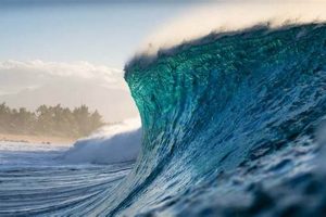 Epic Hawaii Surf Waves: Guide + Best Spots! Learn to Surf & Skate: A Beginner's Step-by-Step Guide Epic Hawaii Surf Waves: Guide + Best Spots! | Learn to Surf & Skate: A Beginner's Step-by-Step Guide