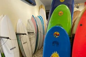Your Guide: Surf Shop Point Pleasant, NJ | Gear & More Learn to Surf & Skate: A Beginner's Step-by-Step Guide Your Guide: Surf Shop Point Pleasant, NJ | Gear & More | Learn to Surf & Skate: A Beginner's Step-by-Step Guide