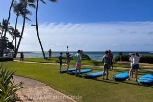 Learn to Surf: Best Kauai Surf Lessons (Expert Tips) Learn to Surf & Skate: A Beginner's Step-by-Step Guide Learn to Surf: Best Kauai Surf Lessons (Expert Tips) | Learn to Surf & Skate: A Beginner's Step-by-Step Guide