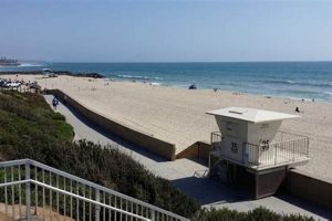 Your Guide to Tamarack Surf Beach Carlsbad CA & More! Learn to Surf & Skate: A Beginner's Step-by-Step Guide Your Guide to Tamarack Surf Beach Carlsbad CA & More! | Learn to Surf & Skate: A Beginner's Step-by-Step Guide