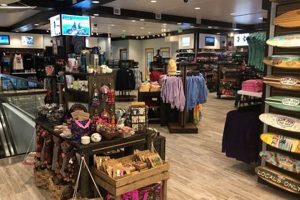 Visit Ron Jon Surf Shop at Disney Springs! Learn to Surf & Skate: A Beginner's Step-by-Step Guide Visit Ron Jon Surf Shop at Disney Springs! | Learn to Surf & Skate: A Beginner's Step-by-Step Guide