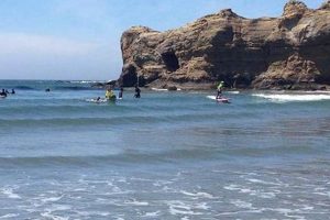 Otter Rock Oregon Surf Report Learn to Surf & Skate: A Beginner's Step-by-Step Guide Otter Rock Oregon Surf Report | Learn to Surf & Skate: A Beginner's Step-by-Step Guide