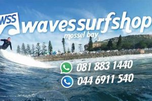 Find Your Wave: Local Wave Surf Shop & Gear Learn to Surf & Skate: A Beginner's Step-by-Step Guide Find Your Wave: Local Wave Surf Shop & Gear | Learn to Surf & Skate: A Beginner's Step-by-Step Guide