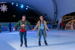 Learn Tampa Ice Skate: Rinks, Tips & More! Learn to Surf & Skate: A Beginner's Step-by-Step Guide Learn Tampa Ice Skate: Rinks, Tips & More! | Learn to Surf & Skate: A Beginner's Step-by-Step Guide