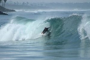 Your Carlsbad CA Surf Report: Today's Best Waves Learn to Surf & Skate: A Beginner's Step-by-Step Guide Your Carlsbad CA Surf Report: Today's Best Waves | Learn to Surf & Skate: A Beginner's Step-by-Step Guide