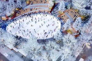 Brooklyn Skate Spot: Domino Park Skate Guide! Learn to Surf & Skate: A Beginner's Step-by-Step Guide Brooklyn Skate Spot: Domino Park Skate Guide! | Learn to Surf & Skate: A Beginner's Step-by-Step Guide