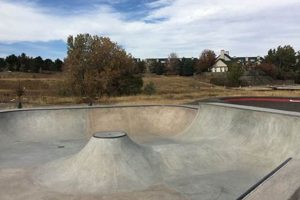 Guide to a Superior Skate Park Design & More! Learn to Surf & Skate: A Beginner's Step-by-Step Guide Guide to a Superior Skate Park Design & More! | Learn to Surf & Skate: A Beginner's Step-by-Step Guide