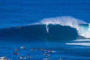 Your Surf Report: Wedge Waves, Ride On! Learn to Surf & Skate: A Beginner's Step-by-Step Guide Your Surf Report: Wedge Waves, Ride On! | Learn to Surf & Skate: A Beginner's Step-by-Step Guide