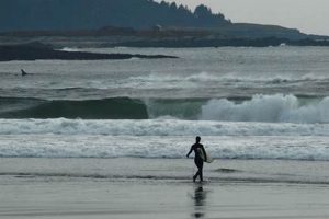 Live York Beach Surf Cam: See Maine Waves Now! Learn to Surf & Skate: A Beginner's Step-by-Step Guide Live York Beach Surf Cam: See Maine Waves Now! | Learn to Surf & Skate: A Beginner's Step-by-Step Guide