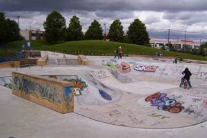 Best Skate Parks in Toronto: A Local's Guide Learn to Surf & Skate: A Beginner's Step-by-Step Guide Best Skate Parks in Toronto: A Local's Guide | Learn to Surf & Skate: A Beginner's Step-by-Step Guide
