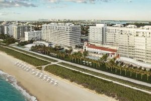 Book Surf Club Miami Reservations: Guide & Tips Learn to Surf & Skate: A Beginner's Step-by-Step Guide Book Surf Club Miami Reservations: Guide & Tips | Learn to Surf & Skate: A Beginner's Step-by-Step Guide