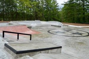Find Skate Parks in Tennessee: Locations + More! Learn to Surf & Skate: A Beginner's Step-by-Step Guide Find Skate Parks in Tennessee: Locations + More! | Learn to Surf & Skate: A Beginner's Step-by-Step Guide