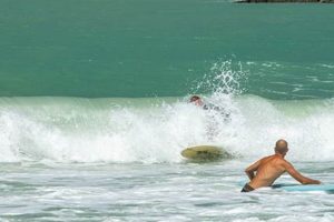 Venice FL Surf Report: Waves, Weather & More! Learn to Surf & Skate: A Beginner's Step-by-Step Guide Venice FL Surf Report: Waves, Weather & More! | Learn to Surf & Skate: A Beginner's Step-by-Step Guide