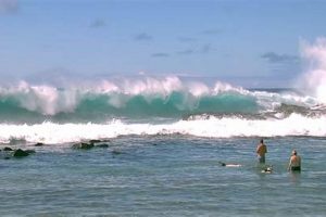 Kona Surf: Big Island Report + Best Kona Surf Spots Learn to Surf & Skate: A Beginner's Step-by-Step Guide Kona Surf: Big Island Report + Best Kona Surf Spots | Learn to Surf & Skate: A Beginner's Step-by-Step Guide