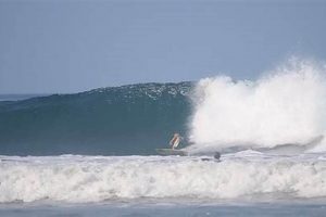 Nosara Surf Report: Your Guide to Surfing Nosara Waves Learn to Surf & Skate: A Beginner's Step-by-Step Guide Nosara Surf Report: Your Guide to Surfing Nosara Waves | Learn to Surf & Skate: A Beginner's Step-by-Step Guide
