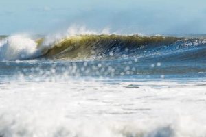 Live Surf: 7th Street Surf Shop Cam Watch Now! Learn to Surf & Skate: A Beginner's Step-by-Step Guide Live Surf: 7th Street Surf Shop Cam Watch Now! | Learn to Surf & Skate: A Beginner's Step-by-Step Guide