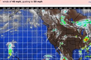 Your SoCal Surf Report: Southern California Waves Now! Learn to Surf & Skate: A Beginner's Step-by-Step Guide Your SoCal Surf Report: Southern California Waves Now! | Learn to Surf & Skate: A Beginner's Step-by-Step Guide