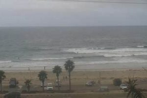 Cardiff Surf Cam: See Live Surf Conditions Now! Learn to Surf & Skate: A Beginner's Step-by-Step Guide Cardiff Surf Cam: See Live Surf Conditions Now! | Learn to Surf & Skate: A Beginner's Step-by-Step Guide