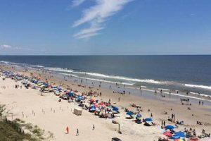Visit Surf Side Beach SC: Your Coastal Getaway! Learn to Surf & Skate: A Beginner's Step-by-Step Guide Visit Surf Side Beach SC: Your Coastal Getaway! | Learn to Surf & Skate: A Beginner's Step-by-Step Guide