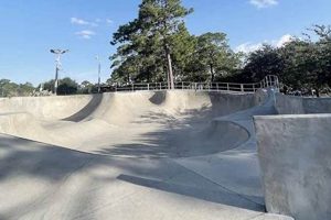 Explore Jacksonville Skate Park: Your Ultimate Guide! Learn to Surf & Skate: A Beginner's Step-by-Step Guide Explore Jacksonville Skate Park: Your Ultimate Guide! | Learn to Surf & Skate: A Beginner's Step-by-Step Guide