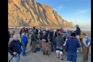 Your SoCal Surf Report: Southern California Wave Forecast Now! Learn to Surf & Skate: A Beginner's Step-by-Step Guide Your SoCal Surf Report: Southern California Wave Forecast Now! | Learn to Surf & Skate: A Beginner's Step-by-Step Guide