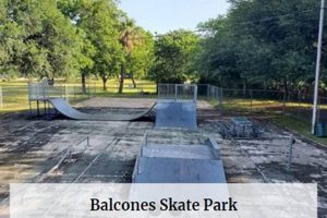 Balcones Skate Park: Ride the Park + Community Hub Learn to Surf & Skate: A Beginner's Step-by-Step Guide Balcones Skate Park: Ride the Park + Community Hub | Learn to Surf & Skate: A Beginner's Step-by-Step Guide