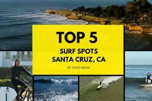 Find Great Surf Shops in Santa Cruz Near You Learn to Surf & Skate: A Beginner's Step-by-Step Guide Find Great Surf Shops in Santa Cruz Near You | Learn to Surf & Skate: A Beginner's Step-by-Step Guide
