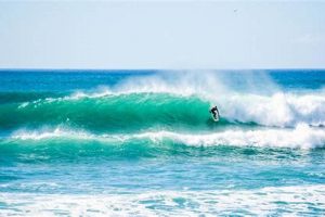 Learn Cabo San Lucas Surfing Lessons: Tips & Guide Learn to Surf & Skate: A Beginner's Step-by-Step Guide Learn Cabo San Lucas Surfing Lessons: Tips & Guide | Learn to Surf & Skate: A Beginner's Step-by-Step Guide