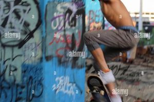 Best Skate Parks in St. Louis, MO: Your Local Guide Learn to Surf & Skate: A Beginner's Step-by-Step Guide Best Skate Parks in St. Louis, MO: Your Local Guide | Learn to Surf & Skate: A Beginner's Step-by-Step Guide