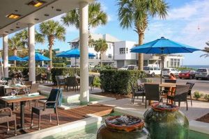 Discover: Surfing Deer, Seagrove Beach Fun! Learn to Surf & Skate: A Beginner's Step-by-Step Guide Discover: Surfing Deer, Seagrove Beach Fun! | Learn to Surf & Skate: A Beginner's Step-by-Step Guide