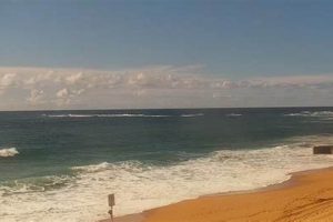 Newport Surf Cam: Live Beach Views & Surf Check Learn to Surf & Skate: A Beginner's Step-by-Step Guide Newport Surf Cam: Live Beach Views & Surf Check | Learn to Surf & Skate: A Beginner's Step-by-Step Guide