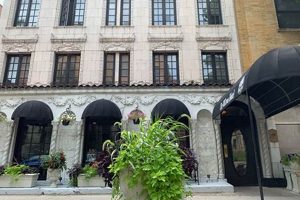 The Willows Hotel: West Surf Stay in Chicago, IL - Deals! Learn to Surf & Skate: A Beginner's Step-by-Step Guide The Willows Hotel: West Surf Stay in Chicago, IL - Deals! | Learn to Surf & Skate: A Beginner's Step-by-Step Guide