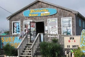 Rodanthe Surf Shop Learn to Surf & Skate: A Beginner's Step-by-Step Guide Rodanthe Surf Shop | Learn to Surf & Skate: A Beginner's Step-by-Step Guide