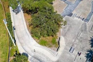 St Pete Skate Park: Your Ultimate Guide + Hours! Learn to Surf & Skate: A Beginner's Step-by-Step Guide St Pete Skate Park: Your Ultimate Guide + Hours! | Learn to Surf & Skate: A Beginner's Step-by-Step Guide