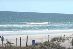 Your Nags Head NC Surf Report: [Conditions Today] Guide | Learn to Surf & Skate: A Beginner's Step-by-Step Guide