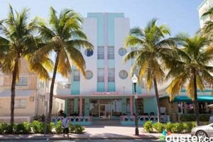 Miami Beach Ocean Surf Hotel: Your Surfside Escape! Learn to Surf & Skate: A Beginner's Step-by-Step Guide Miami Beach Ocean Surf Hotel: Your Surfside Escape! | Learn to Surf & Skate: A Beginner's Step-by-Step Guide