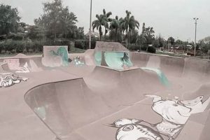 Sarasota, FL Skate Parks: Your Local Guide + More Learn to Surf & Skate: A Beginner's Step-by-Step Guide Sarasota, FL Skate Parks: Your Local Guide + More | Learn to Surf & Skate: A Beginner's Step-by-Step Guide