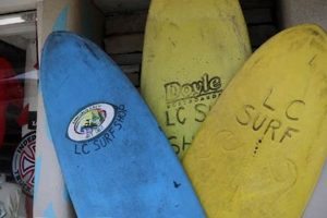 Your Guide to Lincoln City Surf Shop Scene + Rentals Learn to Surf & Skate: A Beginner's Step-by-Step Guide Your Guide to Lincoln City Surf Shop Scene + Rentals | Learn to Surf & Skate: A Beginner's Step-by-Step Guide