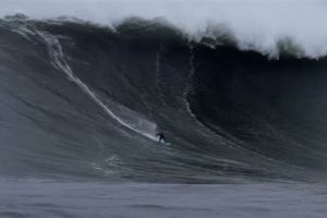 Accurate Mavericks Surf Report: Live Conditions & Forecast Learn to Surf & Skate: A Beginner's Step-by-Step Guide Accurate Mavericks Surf Report: Live Conditions & Forecast | Learn to Surf & Skate: A Beginner's Step-by-Step Guide