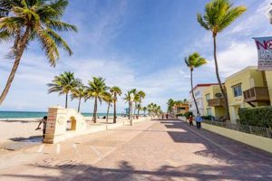Your Guide: The Surf Hollywood Beach Scene in FL Learn to Surf & Skate: A Beginner's Step-by-Step Guide Your Guide: The Surf Hollywood Beach Scene in FL | Learn to Surf & Skate: A Beginner's Step-by-Step Guide