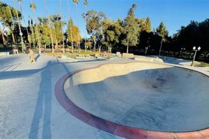 Best Skate Parks in Redlands CA: Your Guide Learn to Surf & Skate: A Beginner's Step-by-Step Guide Best Skate Parks in Redlands CA: Your Guide | Learn to Surf & Skate: A Beginner's Step-by-Step Guide