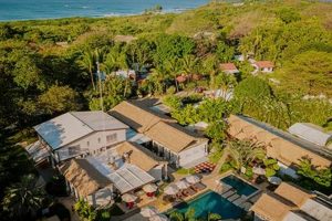 Your Guide to Gilded Iguana Surf Club & More! Learn to Surf & Skate: A Beginner's Step-by-Step Guide Your Guide to Gilded Iguana Surf Club & More! | Learn to Surf & Skate: A Beginner's Step-by-Step Guide