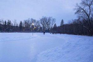 Glide Through Winter: Ice Skate Trail Adventures! Learn to Surf & Skate: A Beginner's Step-by-Step Guide Glide Through Winter: Ice Skate Trail Adventures! | Learn to Surf & Skate: A Beginner's Step-by-Step Guide