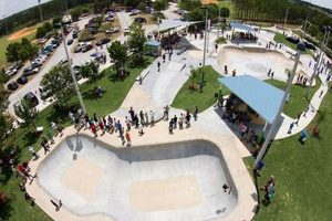 Your Guide to Lakeland Skate Park at Fletcher Park Fun! Learn to Surf & Skate: A Beginner's Step-by-Step Guide Your Guide to Lakeland Skate Park at Fletcher Park Fun! | Learn to Surf & Skate: A Beginner's Step-by-Step Guide
